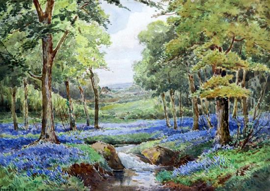 Teresa Stannard (1898-1947) The Bluebell Wood 24 x 34cm